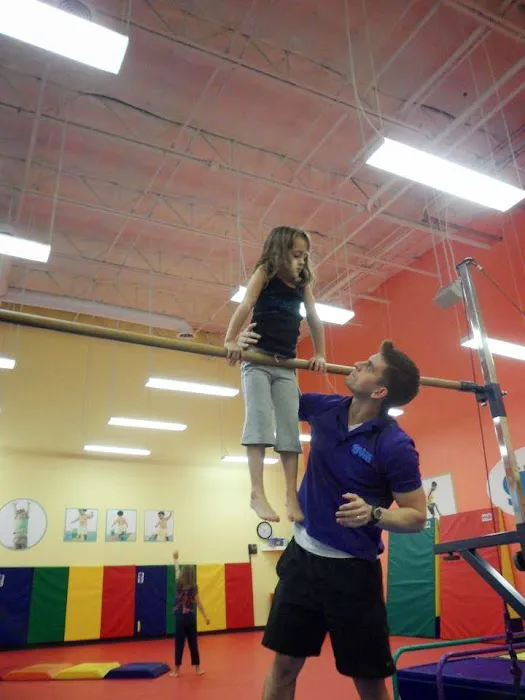The Little Gym of Plano Picture 8