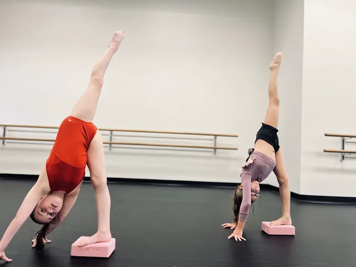 DCJ Dance and Performing Arts Picture 7
