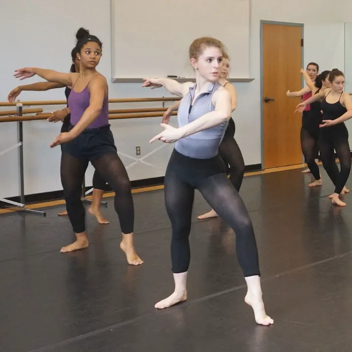 Texas Dance Conservatory Picture 9