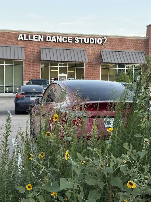 Allen Dance Studio Picture 2