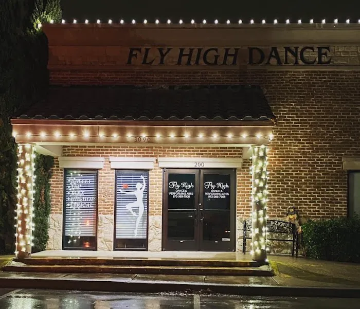 Fly High Dance & Performing Arts Picture 3