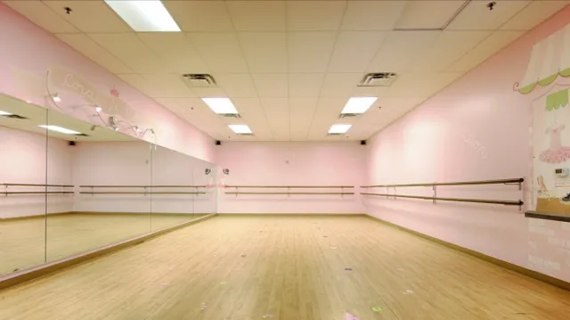 The Dance Movement Picture 3
