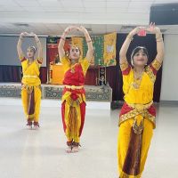 Srishti Nrityalaya School of Performing Arts LLC ico