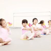 Principal Dance Academy of Dallas (Ballet Ballet Dance Studio) ico