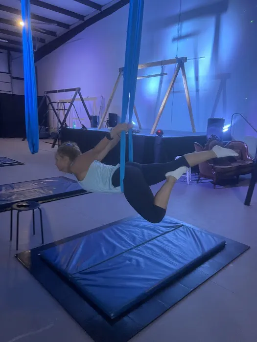 Inverted Dance Pole & Aerial Studio Picture 2