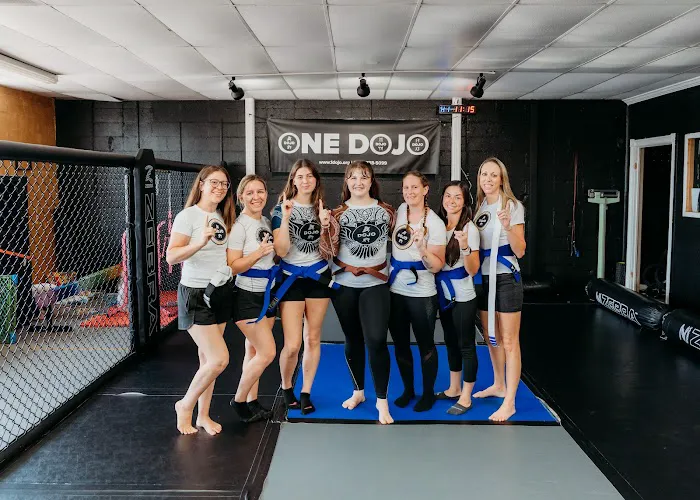 One Dojo | Jiu Jitsu, MMA, Dance, Gymnastics, and DFW's Homeschool Dojo Picture 1