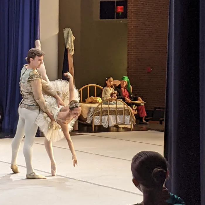 Texas Youth Ballet Picture 3