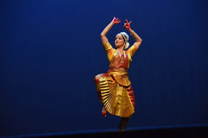 Arohana Academy of Performing Arts LLC Picture 7