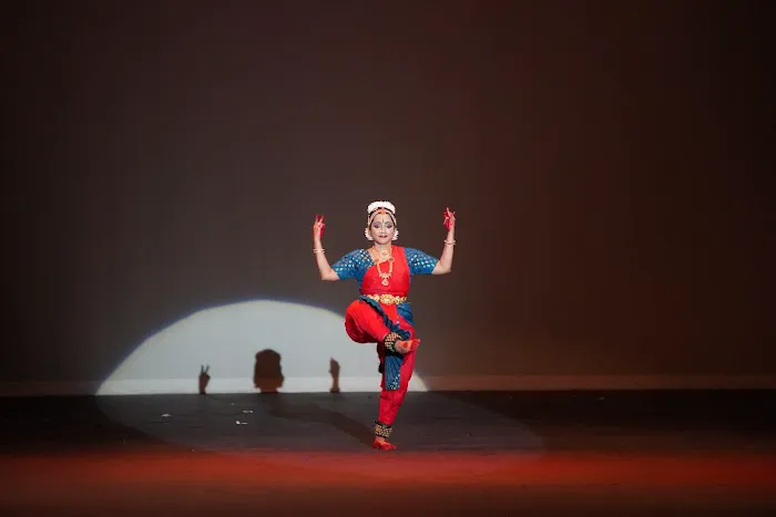 Arohana Academy of Performing Arts LLC Picture 9