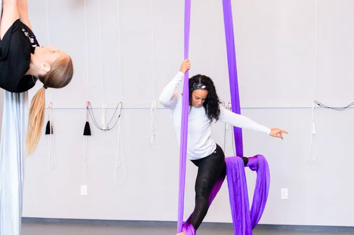 Altitude Pole Fitness & Aerial Arts Picture 1