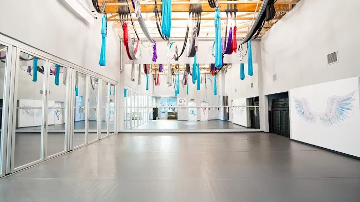 Altitude Pole Fitness & Aerial Arts Picture 4