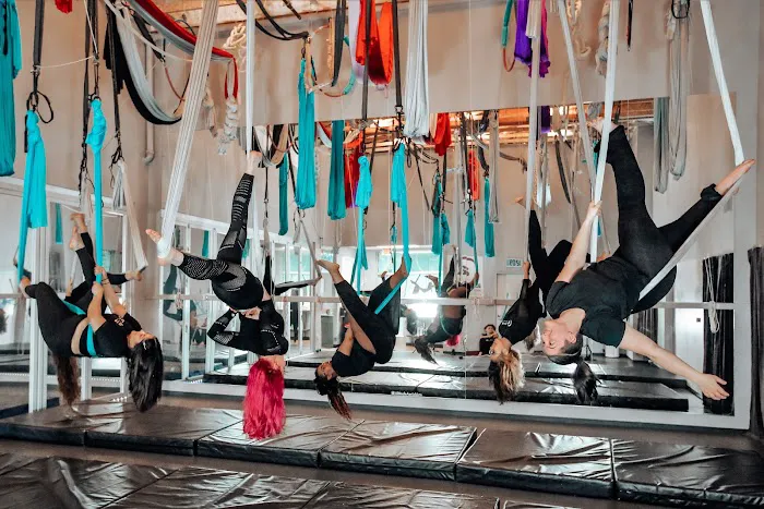 Altitude Pole Fitness & Aerial Arts Picture 6