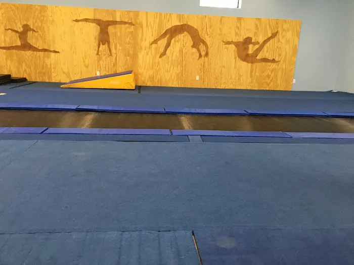 KDF Dance and Gym Picture 4