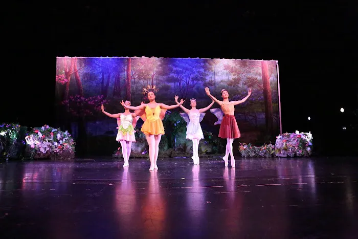 TJC Academy of Dance Picture 2