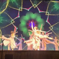 The Rock of Sports & Performing Arts ico