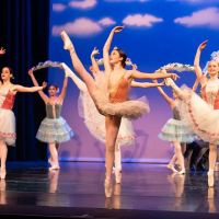 PDT Dance Arts ico