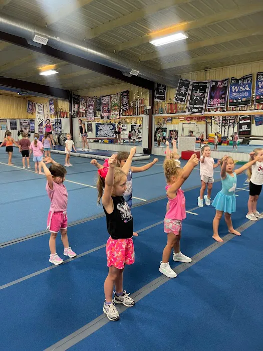 GymTyler Gymnastics Picture 4