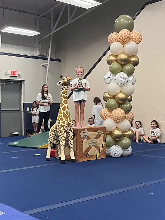 Decatur Gymnastics Picture 4