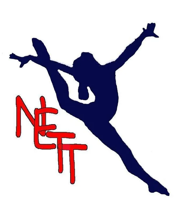 NE Texas Elite Gymnastics Dance & Cheer Picture 2