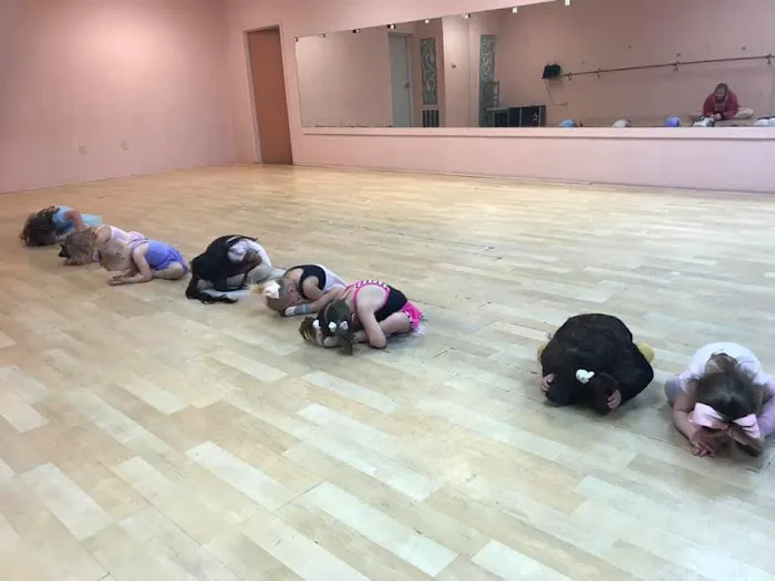 Danctastics Dance Studio Picture 2