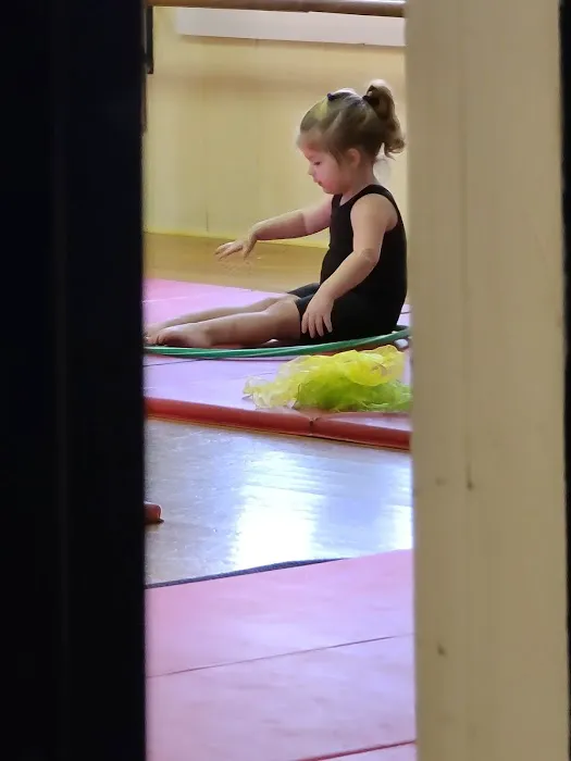 Andrea's School of Dance Picture 3