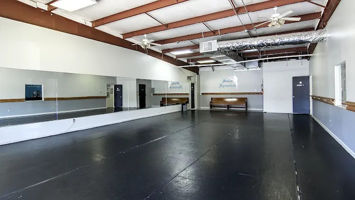 Dance Dynamics Picture 3