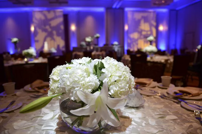 Celebrations Events & Entertainment, DJs, Photography, Photo Booths, Dance Floors, Drape! Picture 5