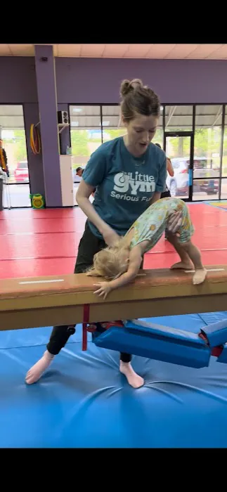 The Little Gym Picture 6