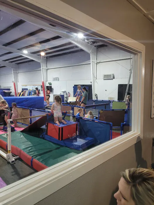 Pinnacle Gymnastics Picture 3