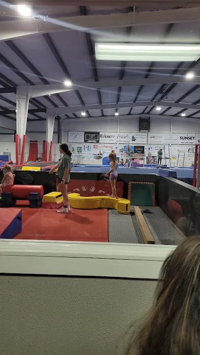 Pinnacle Gymnastics Picture 4