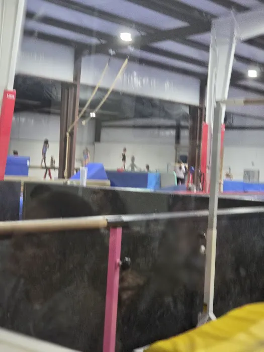 Pinnacle Gymnastics Picture 8