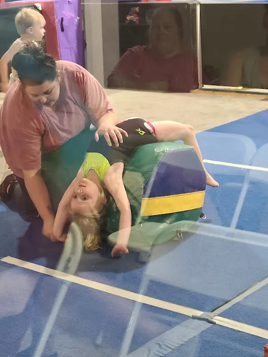 Pinnacle Gymnastics Picture 7