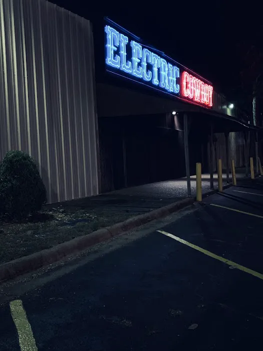 Electric Cowboy Picture 1