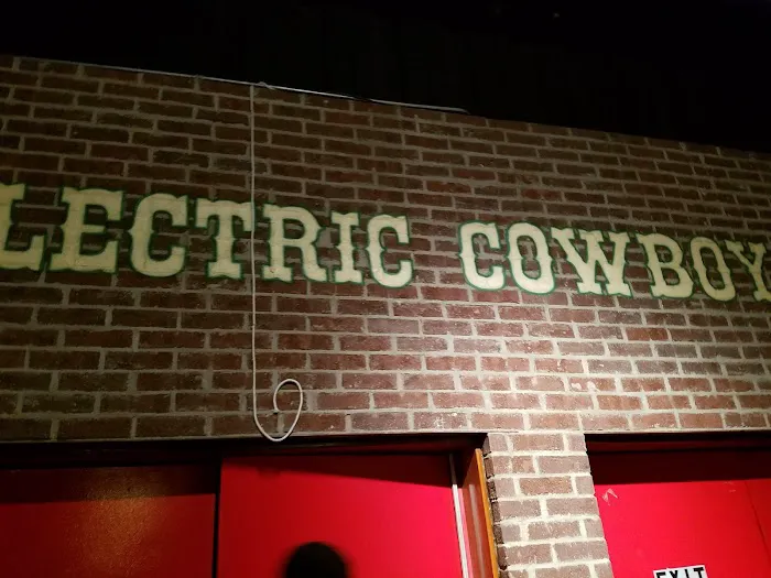 Electric Cowboy Picture 2