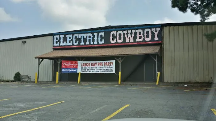 Electric Cowboy Picture 4