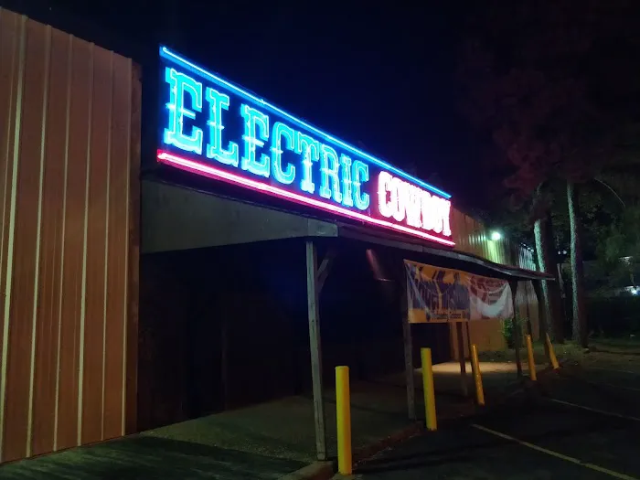 Electric Cowboy Picture 8