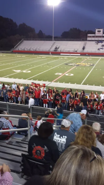 Lion Stadium Picture 1