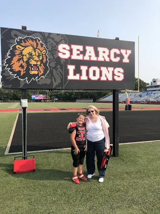 Lion Stadium Picture 3