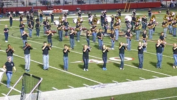 Lion Stadium Picture 10
