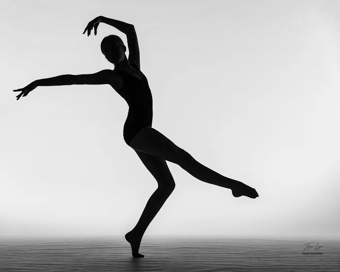 United Performing Arts Company Picture 3