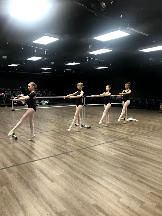 United Performing Arts Company Picture 5