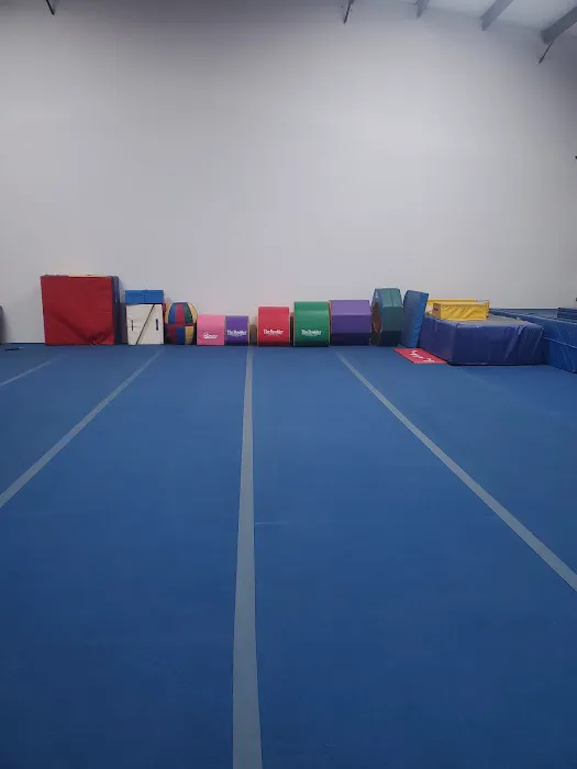 Southside Spirit Cheer and Dance Picture 1