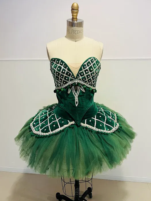 Houston Ballet Picture 6