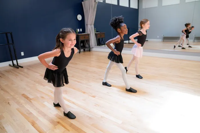 Institute of Contemporary Dance in Houston Picture 1