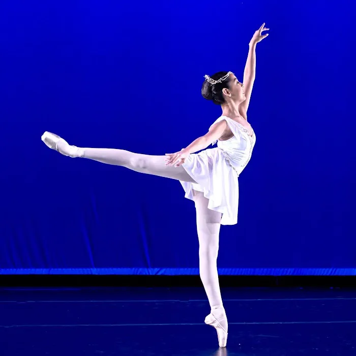 Vitacca Ballet & School For Dance, Houston Picture 5