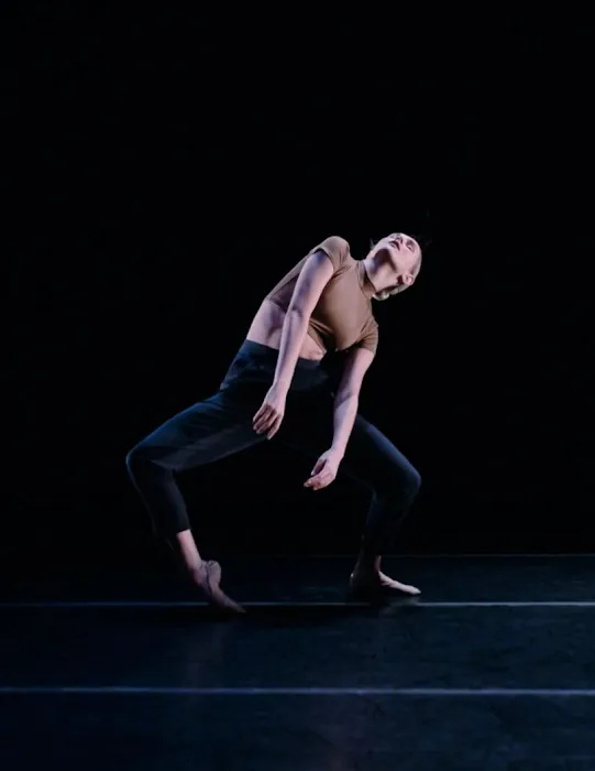 Vitacca Ballet & School For Dance, Houston Picture 9