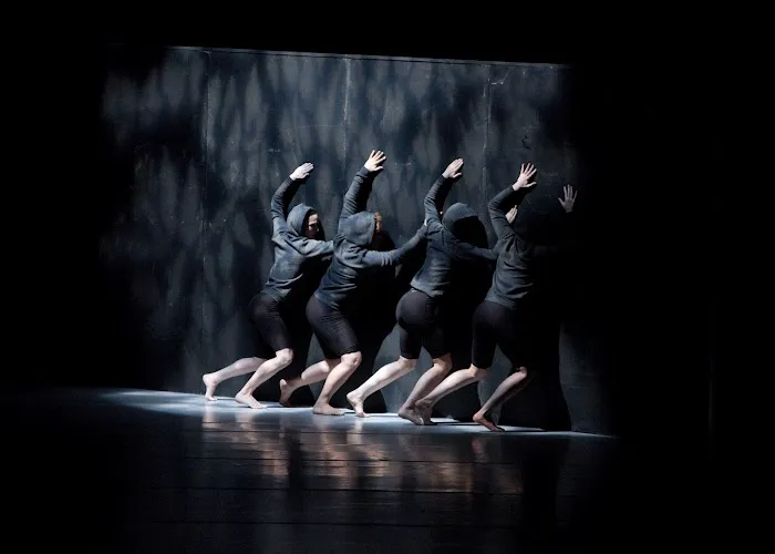 Houston Metropolitan Dance Center Picture 7