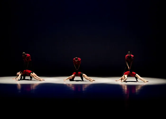 Houston Metropolitan Dance Center Picture 8