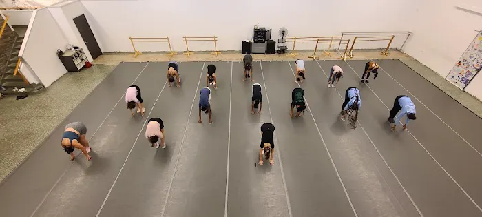 Houston Metropolitan Dance Center Picture 4