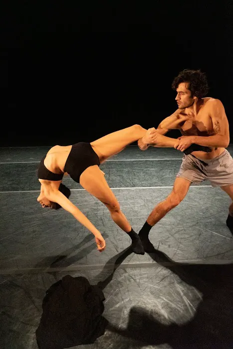 Ishida Dance Company Picture 3
